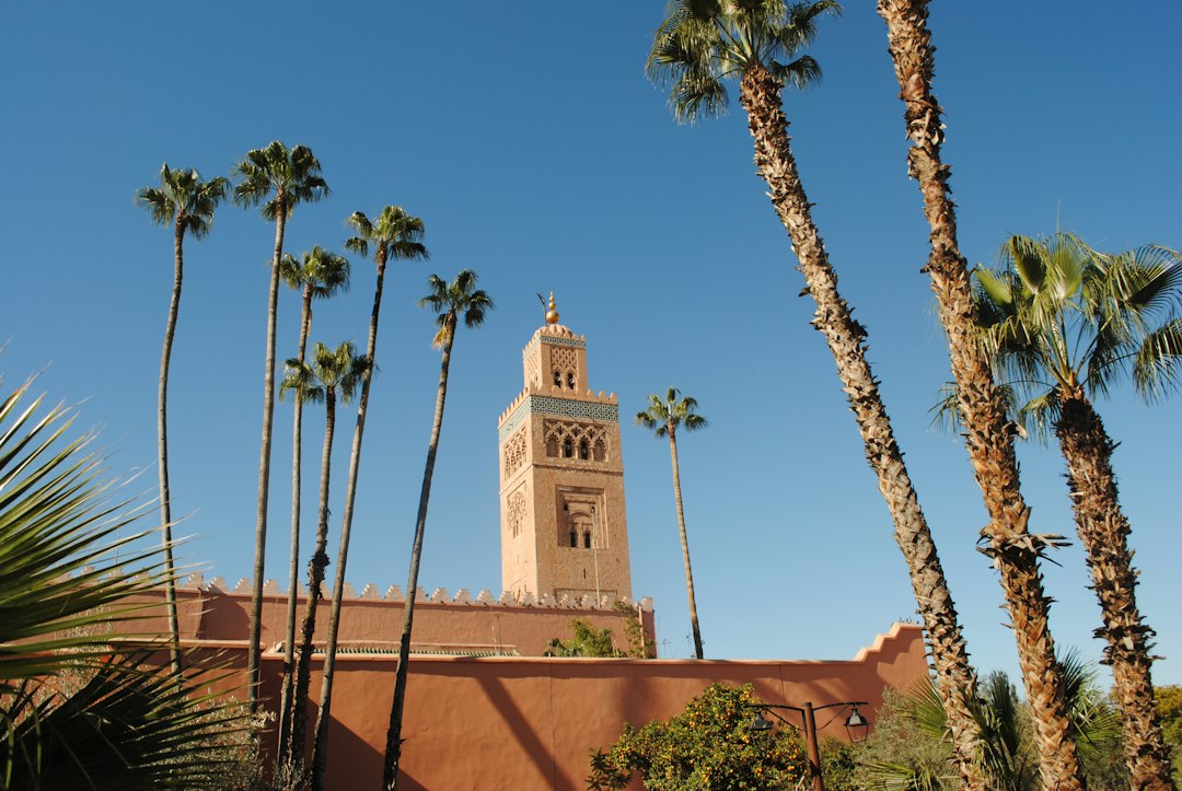 Gastronomia em Marrakech: do mercado à mesa de chef